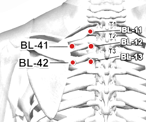 Location of BL-42 (Pohu)